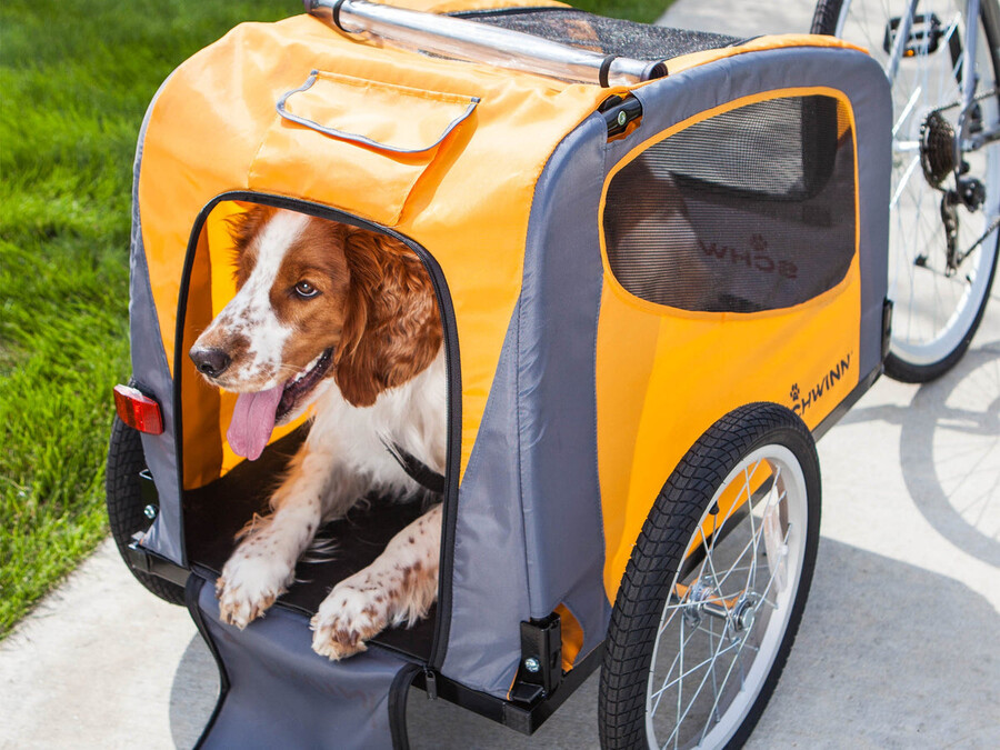 remorque à vélo pour animaux de compagnie rascal